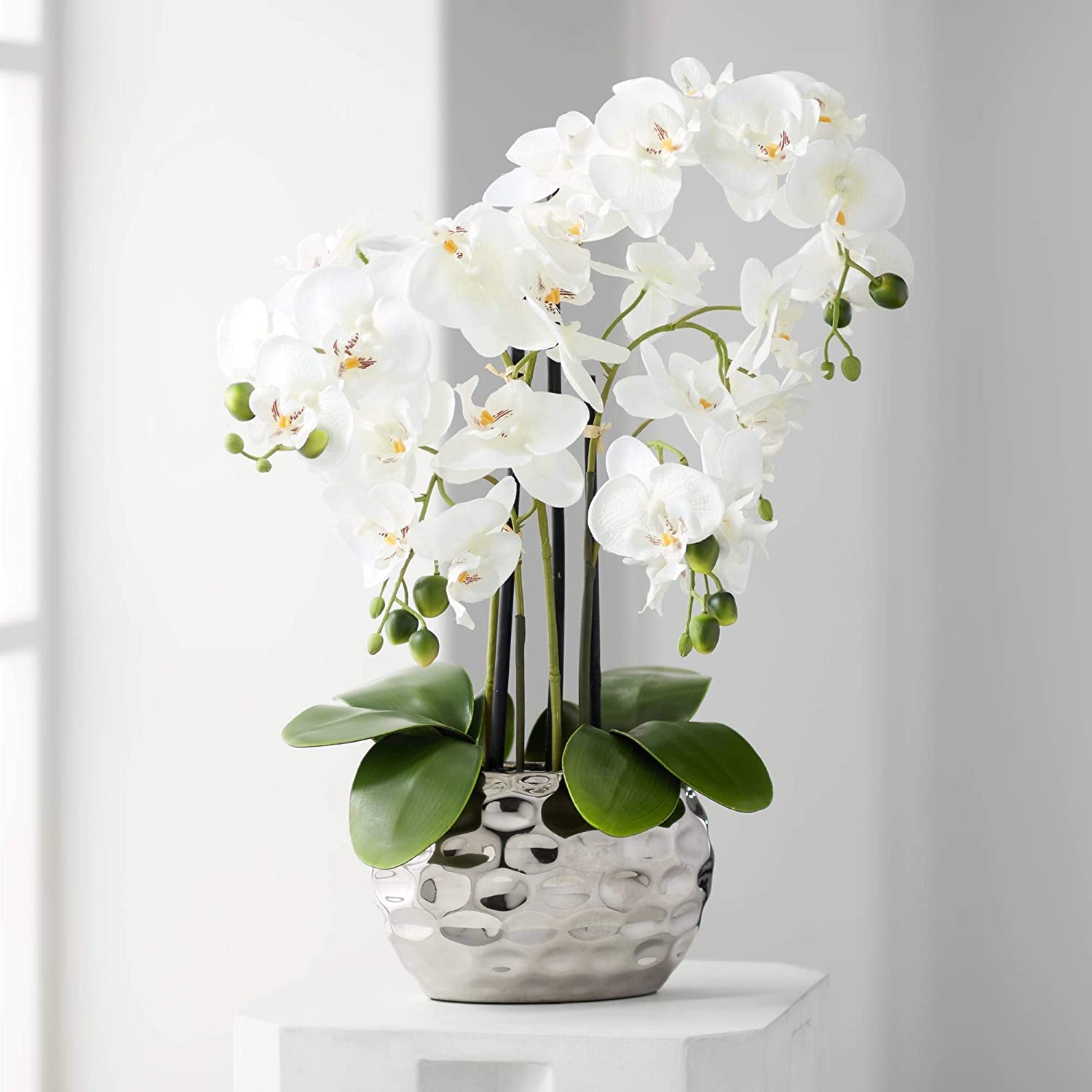 5 Best Fake Orchid Plants, A Guide to The Best Artificial Orchids